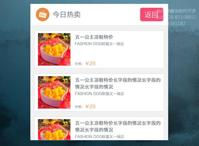 “财富又一城”触摸屏查询软件系统
